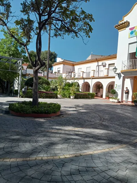 Fundación Olivares