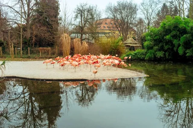 Nature Park Draháň-Troja