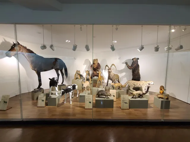 Kyung Hee University Museum of Natural History