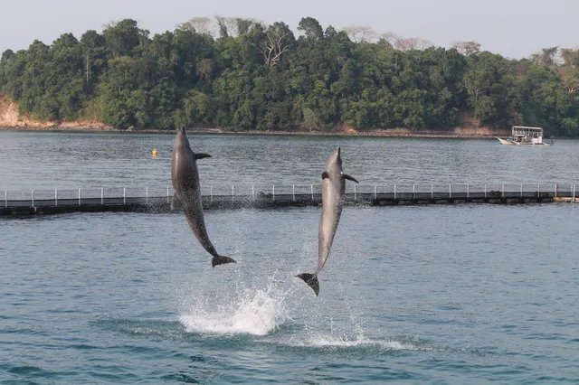 Ocean Adventure, Subic Bay