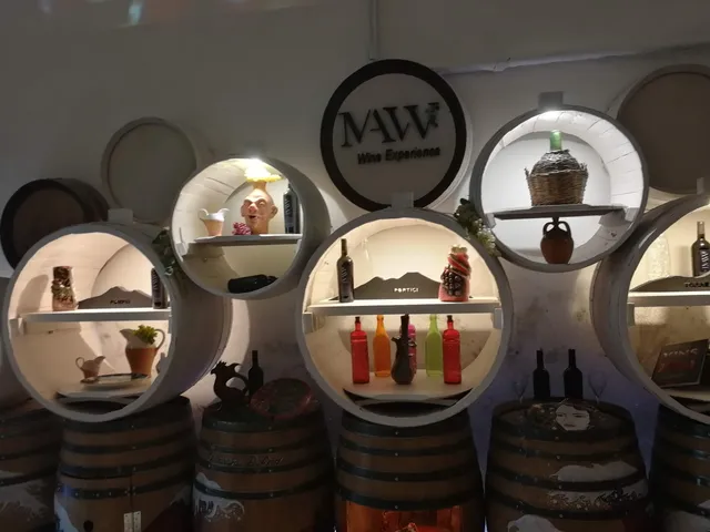 MAVV - Museo dell'arte, del vino e della vite