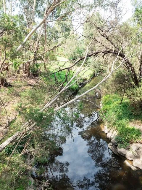 Gardiners Creek Reserve