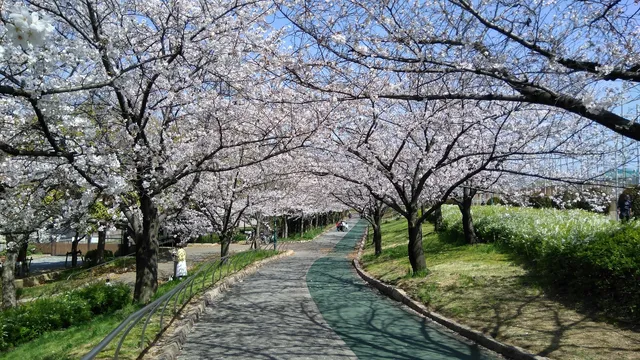 Tatsumi-higashi Green Space
