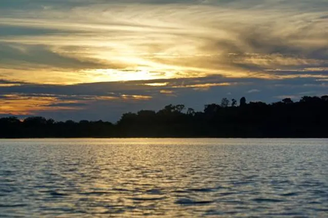 Parroquia Palma Roja
