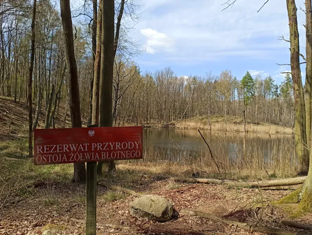 Rezerwat przyrody Ostoja żółwia błotnego