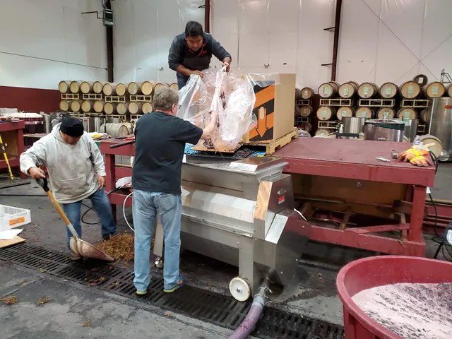 Bacchus Winemaking Club