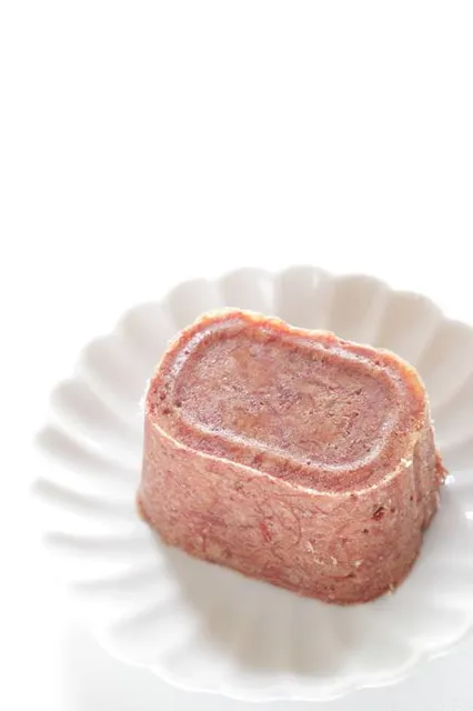 ICAR Canned Beef Monument