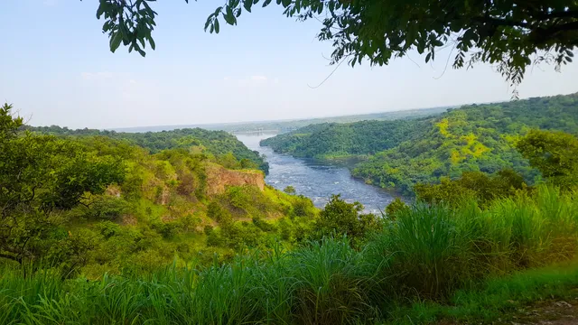 Murchison falls national park