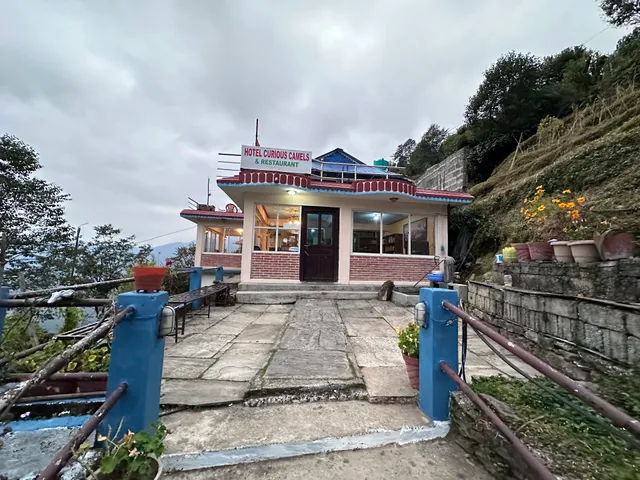 Curious Camel Lodge & Restaurant