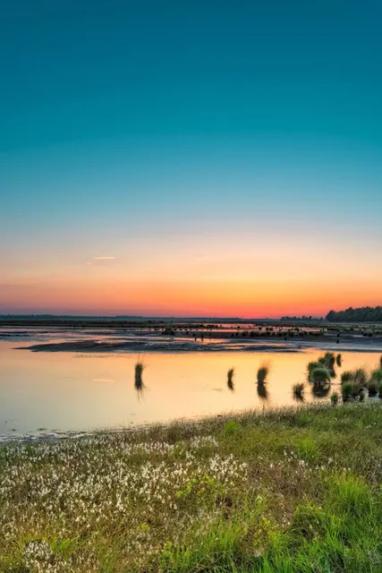 Plyazh "Sestroretskiy Kurort"