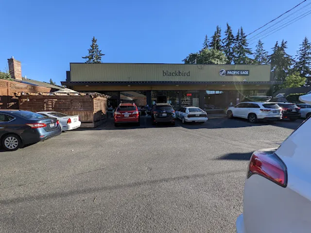 Blackbird Cafe & Bar