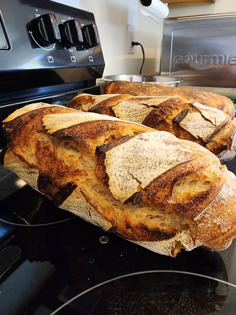 Salt N Pepper Kosher Meals