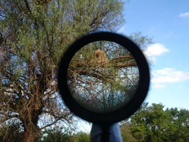 Le Vallon du Villaret