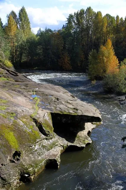 Englishman River Regional Park