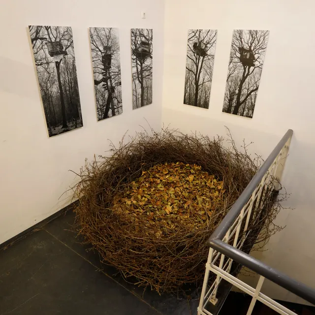 Atelierhaus Darmstadt