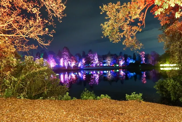 Windsor Great Park Illuminated