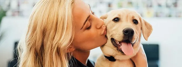 Dogtopia of Omaha-Papillion