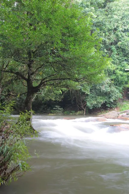 Wang Takrai National Park