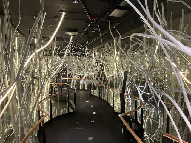 Nationalparkzentrum Ruhestein