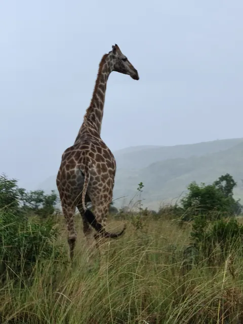Pilanesberg National Park