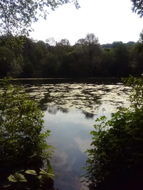 Deep Hayes Country Park