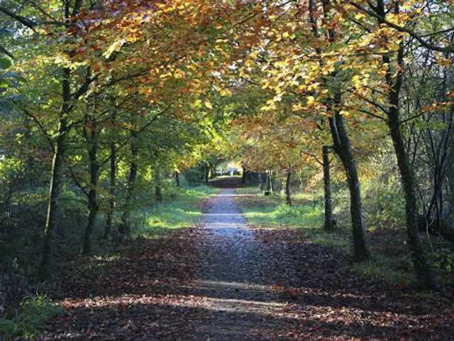 Templemore Town Park