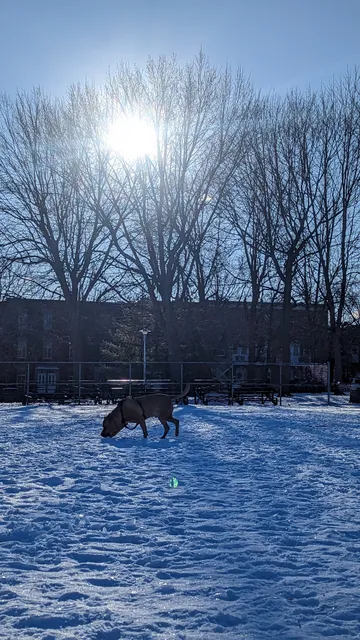 Raymond-Préfontaine Park