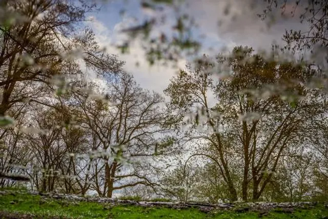 Historic Teegarden Covered Bridge