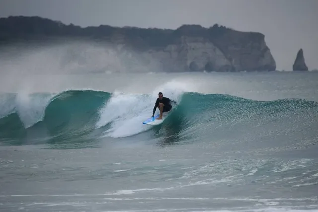 Tsurigasaki Surfing Beach