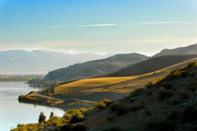 Misha's Vineyard Tasting Room