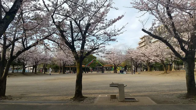 Higashikasai Sakura Park