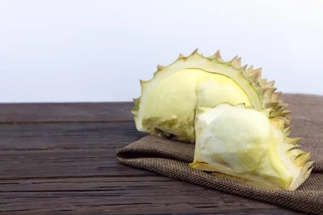 Muzey Igrushki Bogorodskoe