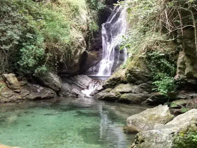 Cascata delle libellule blu
