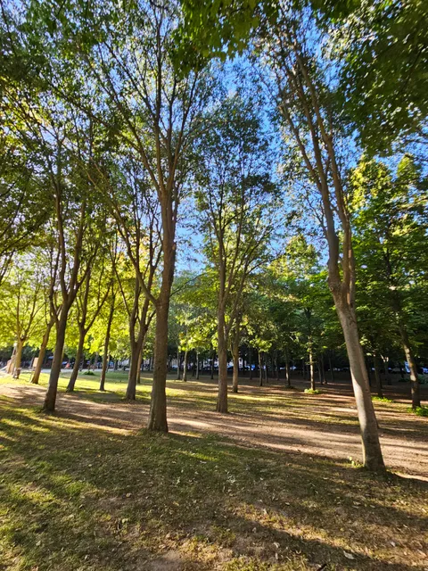 Alameda de la Fuencisla