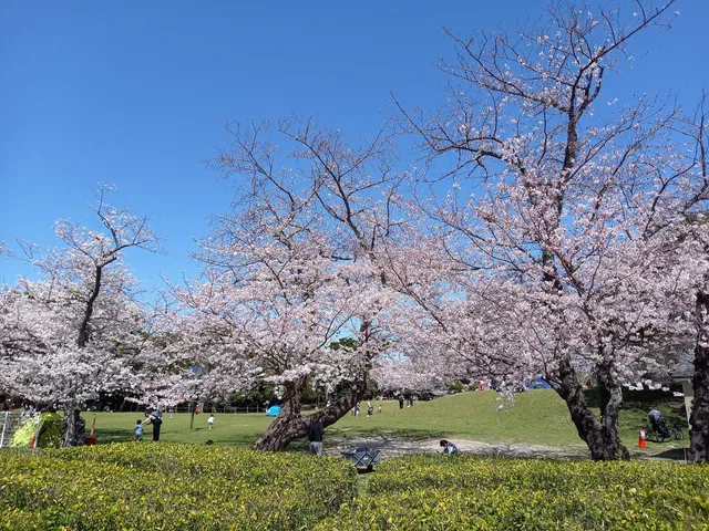 Seinanmorinokohan Park