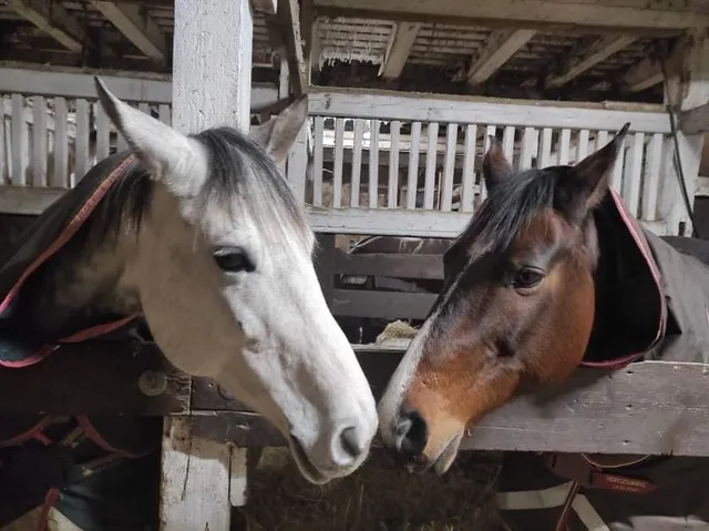 Saage Manor - Kuusiku, Raplamaa