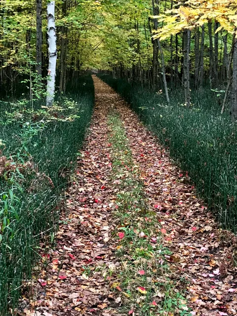 Indian Point Provincial Park