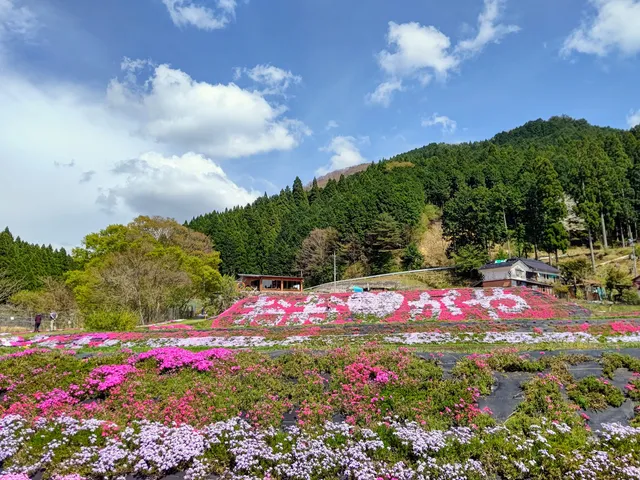 Nishiawakurason Ogaya Shibazakura Park