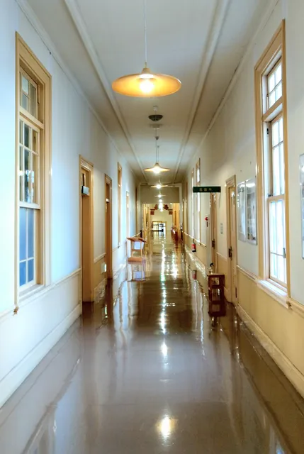 photo-1