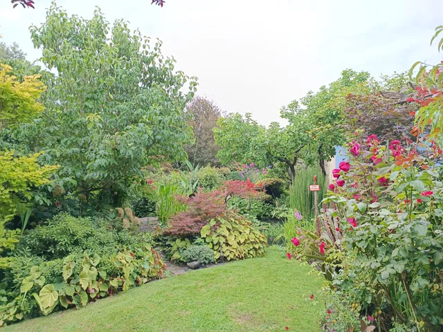 JACQUELINE BEARN KUBIAK - 40200