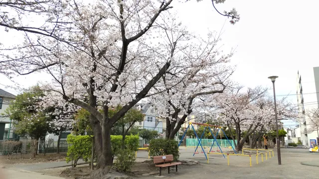Nishirokugo Sanchome Park
