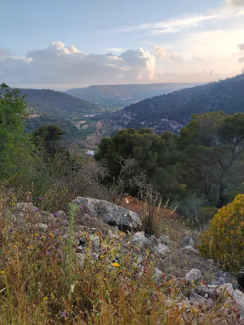 Forestale Cava Maria