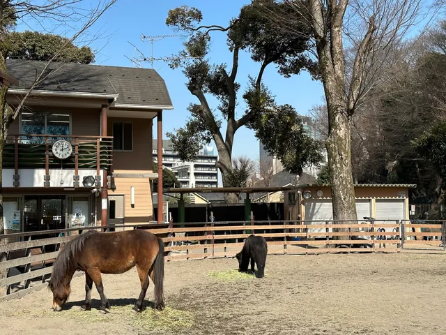 Yoyogi Pony Park