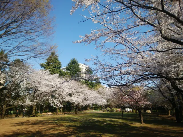Nerima City Haru-no-kaze (Spring Wind) Park