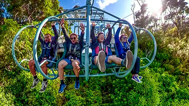 Cable Bay Adventure Park