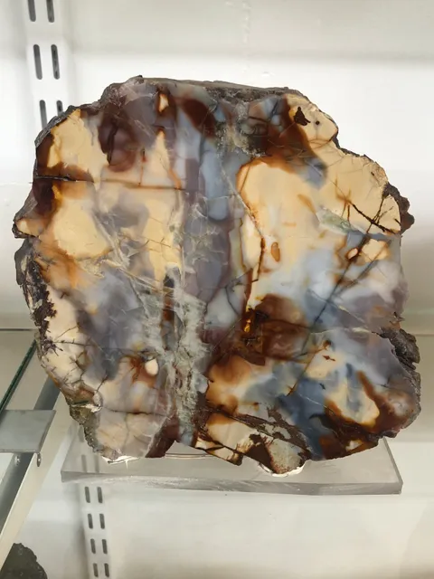 Auðunn's Stone & Mineral collection