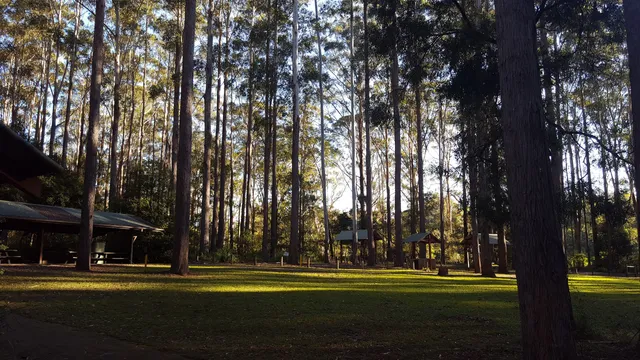 Bongil picnic area