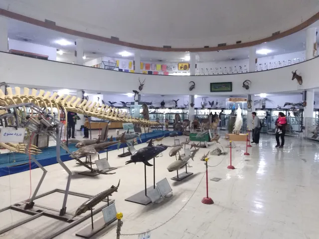 Natural History and Technology Museum