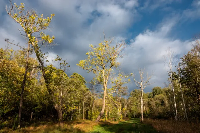 Réserve naturelle régionale du marais de Stors