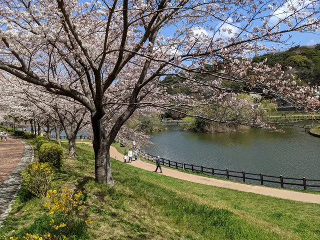 Fukuoka Kenei Central Park
